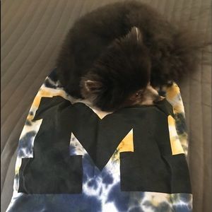 Meet your Posher, Mary